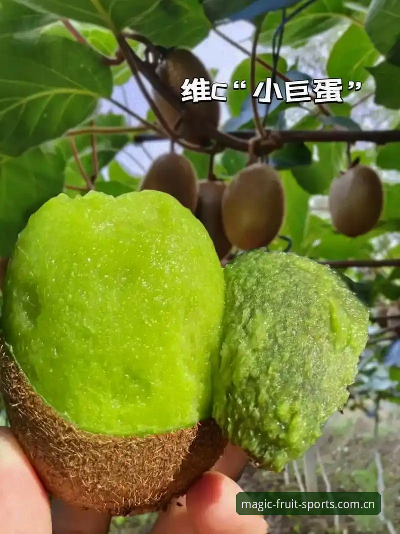 技术评测：奇异果体育高清赛事使用心得，资深用户分享45.8MB安装包背后的流畅体验