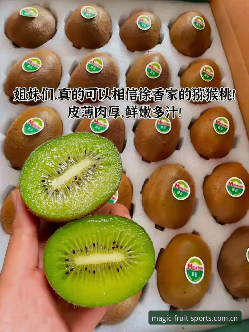 奇异果体育入口实用指南:老用户分享的安全下载与安装技巧